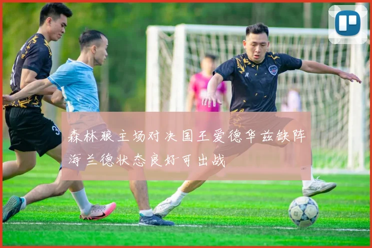 森林狼主场对决国王爱德华兹缺阵海兰德状态良好可出战